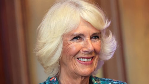 Duchess Camilla's lifelike 75th birthday cake needs to be seen to be believed