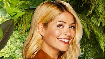 holly-willoughby-im-a-celeb-brown-dress