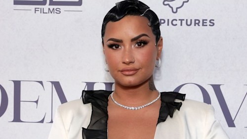 Demi Lovato's stunning lingerie shot inspires fans as they tease big news