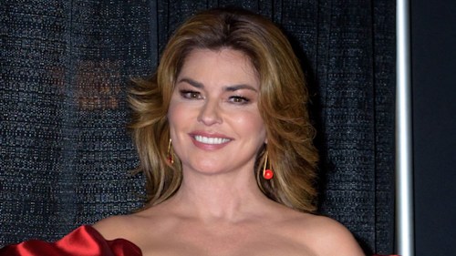 Shania Twain looks amazing in ab-baring crop top and double denim - but it's not what you think