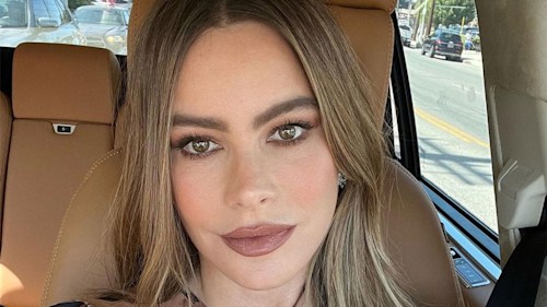 Sofia Vergara rocks fabulous strapless corset for exciting evening out