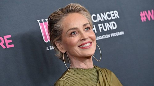 Sharon Stone looks drop-dead gorgeous in dazzling gown for star-studded Los Angeles event