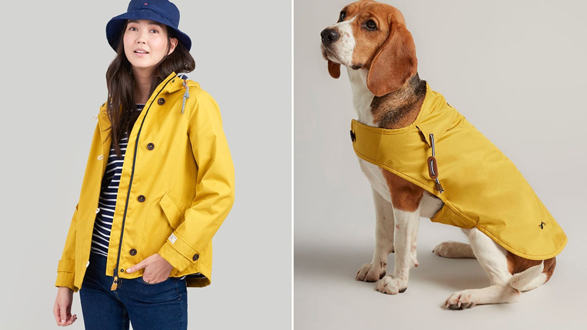 joules matching dog coats