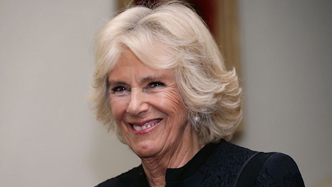 The Duchess of Cornwall looks radiant as she welcomes the Dutch royals ...