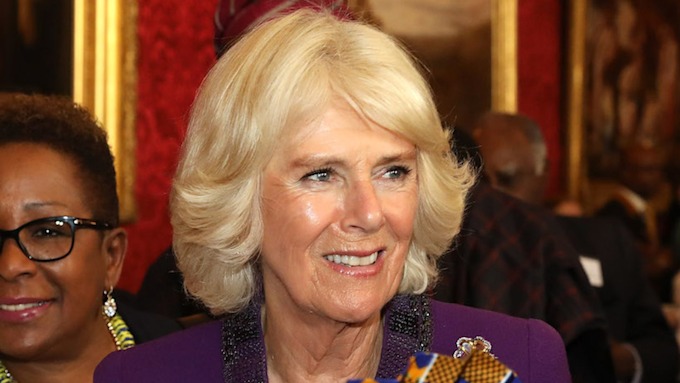 camilla-outfit