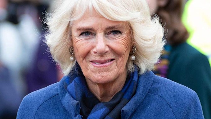 The Duchess of Cornwall's tweed skirt has the most amazing luxurious ...