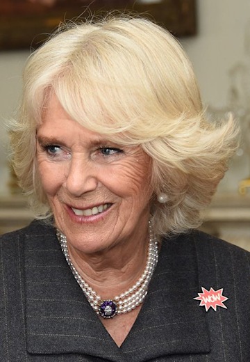 The Duchess of Cornwall's latest outfit is SO stylish, it has got Vogue ...