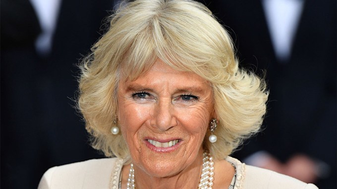The Duchess of Cornwall just wore the most unique ball gown you will ...