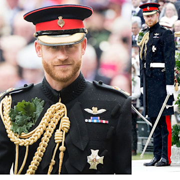 Prince Harry, Prince William and more royal men looking dapper in ...