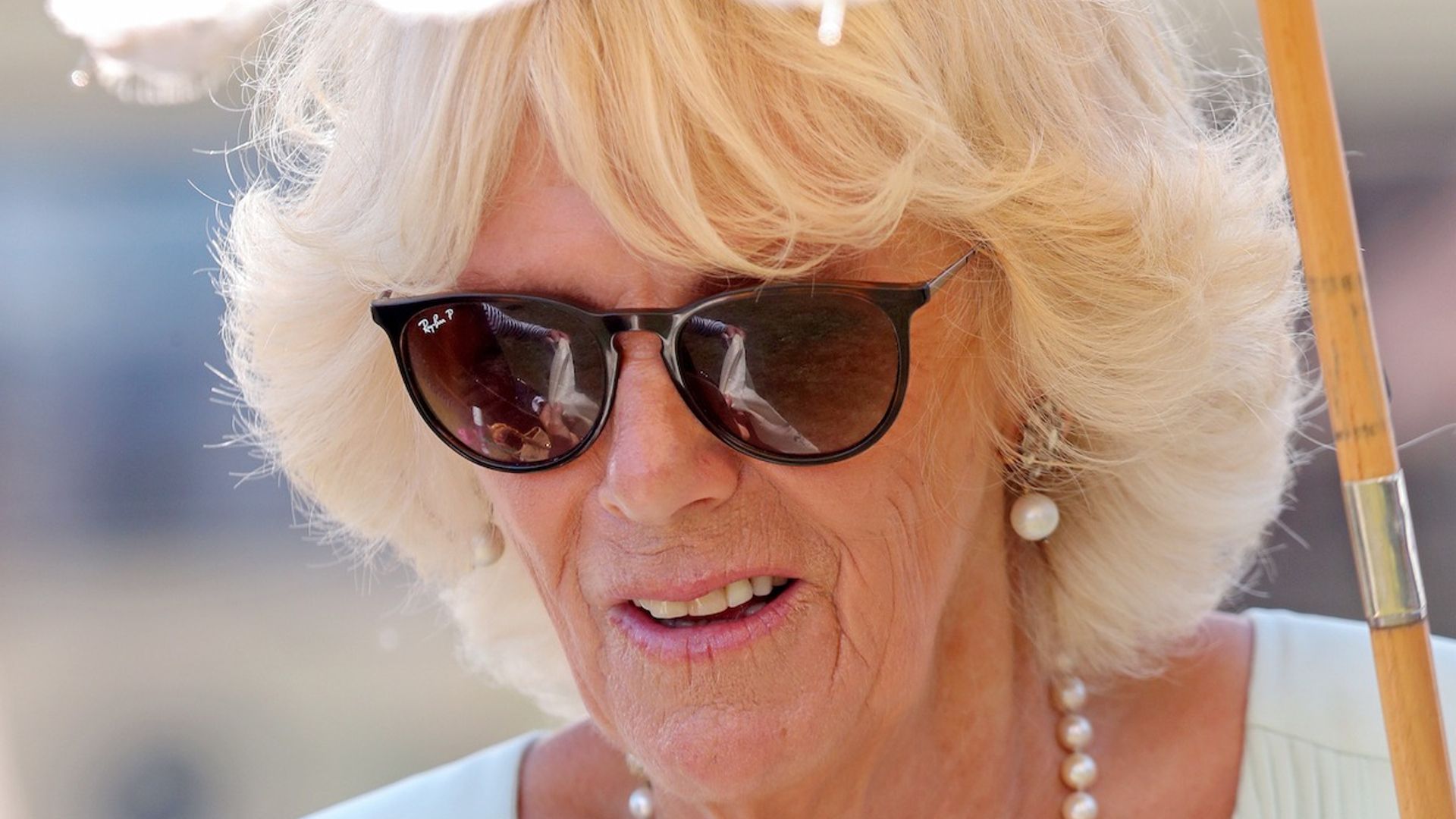 Duchess Camilla pictured on day out with Prince Charles in chic polka