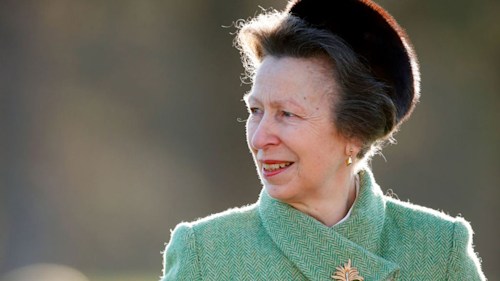 Princess Anne just carried the chicest monogram tote bag – and we want one