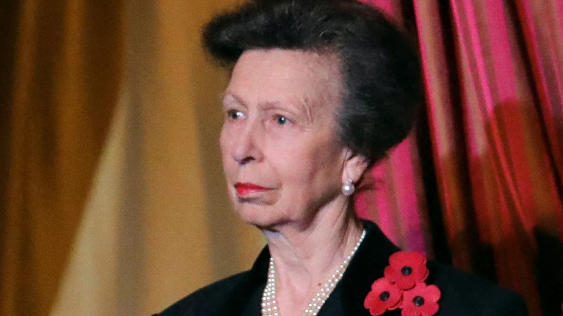 Why did Princess Anne wear three poppies at Festival of Remembrance ...