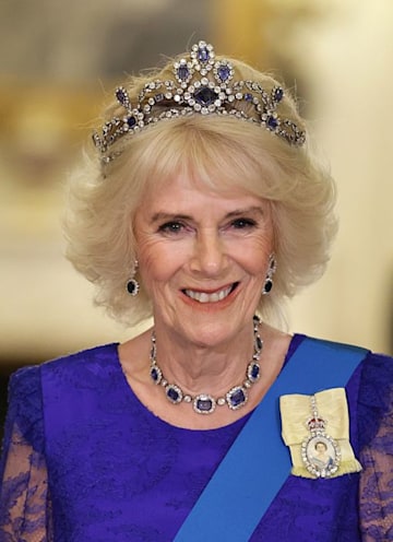 Queen Camilla totally glitters in matching dress and tiara for state ...