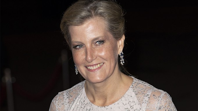 Sophie Wessex is spellbinding in dazzling silver gown for rare red