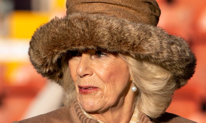 Love Queen Consort Camilla's swish knee-high boots? M&S are selling...