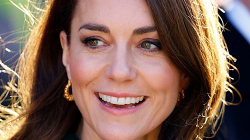 Princess Kate is a classic beauty in fitted top for new photograph