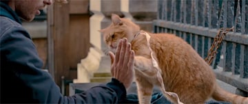 First trailer for A Street Cat Named Bob released – starring the ...