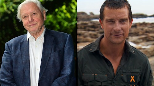 David Attenborough reprimands Bear Grylls for killing animals on TV
