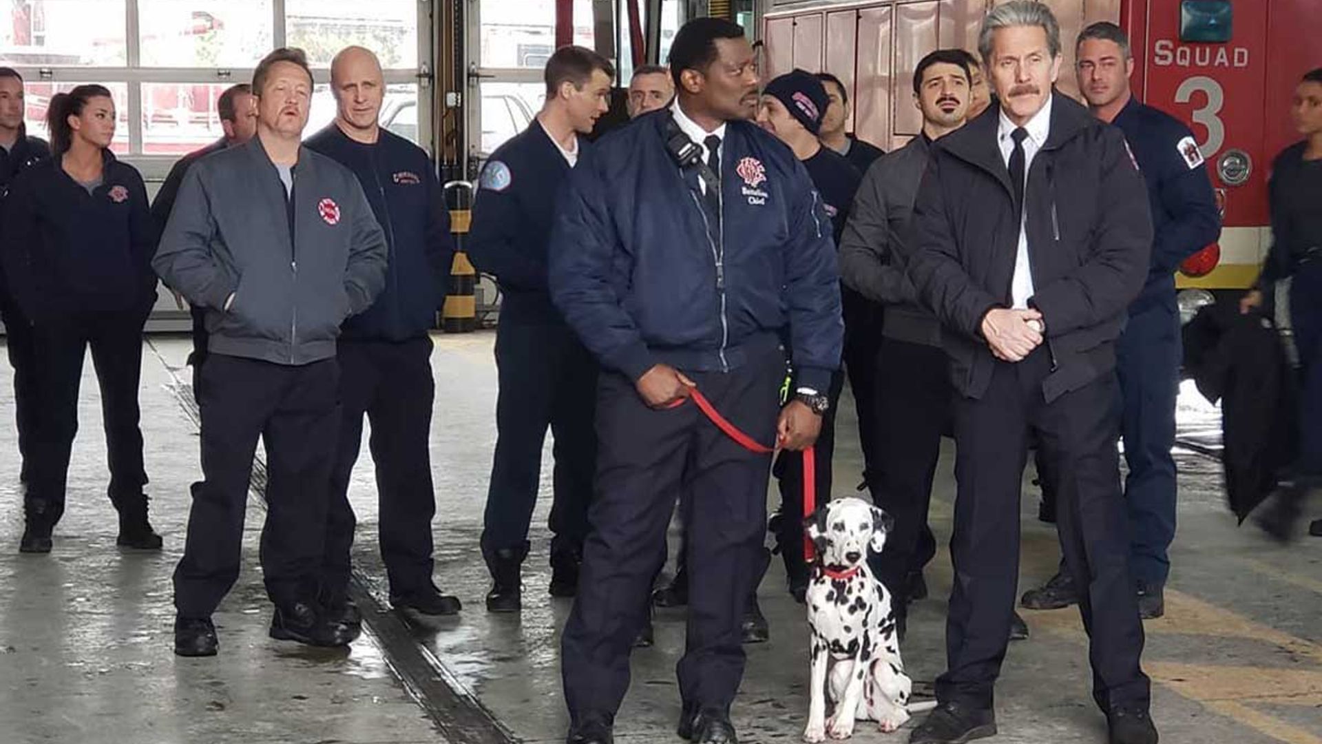 what happened to the dog on chicago fire
