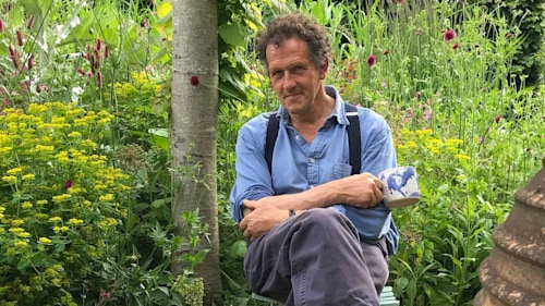 Gardeners’ World Winter Specials: see Monty Don's own garden