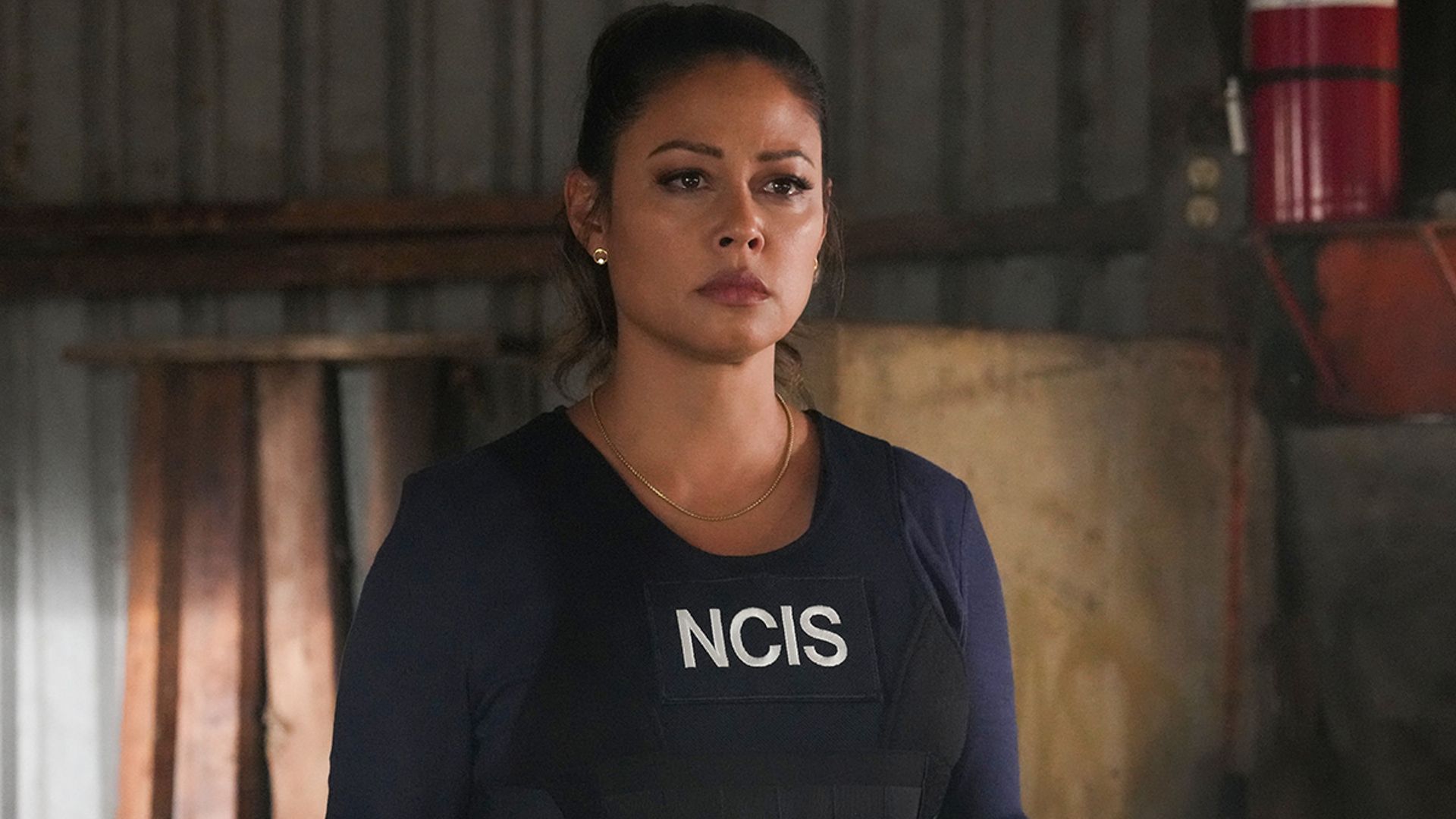 NCIS Star Vanessa Lachey Shares Update After Revealing 'shock' Over ...