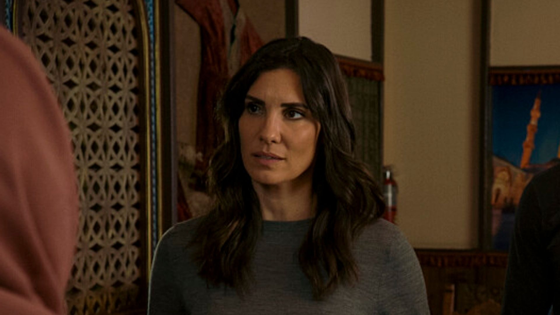 NCIS: LA Star Daniela Ruah Shares Emotional Tribute To Co-stars As Show ...