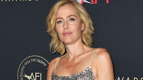 Sex Education's Gillian Anderson has fans doing a double-take with bald head photo