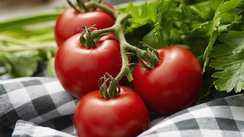 Eating tomatoes may lessen risk of skin cancer