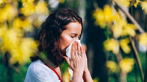 20 natural remedies for hay fever sufferers