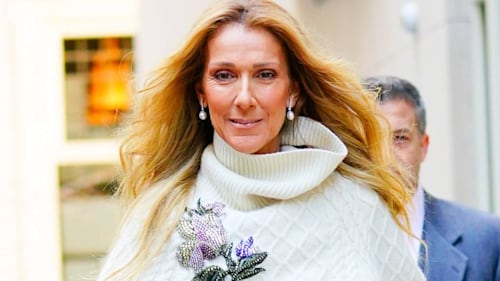 Celine Dion's fans send singer their support following latest update amid health battle