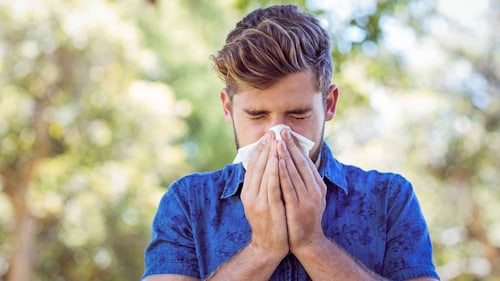 9 Best hay fever relief solutions on Amazon with top reviews