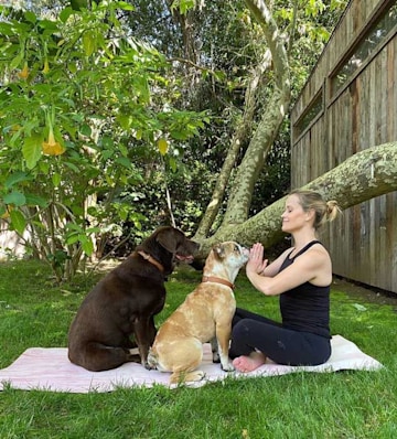 reese-witherspoon-yoga-dogs