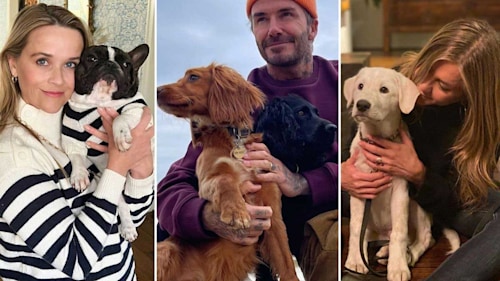 9 super-cute times celebrity pets interrupted workouts: David Beckham, Jennifer Aniston & more