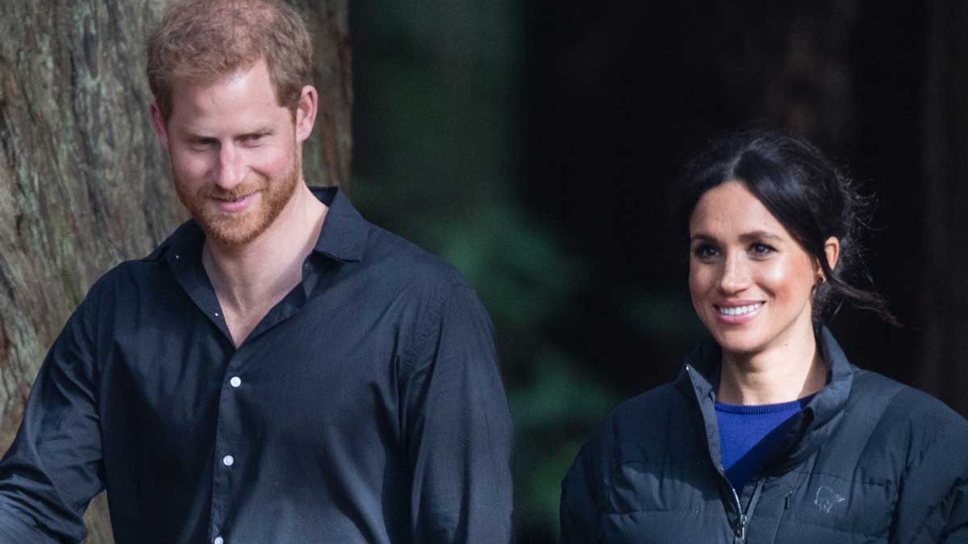 Prince Harry and Meghan Markle's secret couples hobby will surprise you