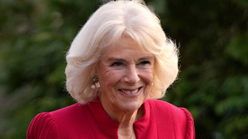 Queen Consort Camilla made a subtle lifestyle change amid new role – did you spot it?