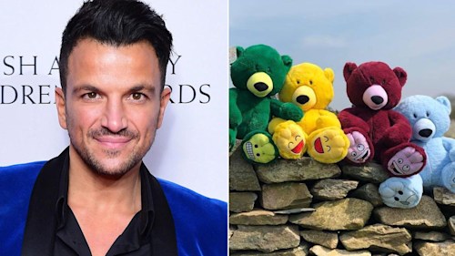 Peter Andre's son Theo is 'obsessed' with this £20 cuddly toy