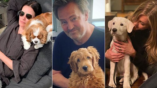 Man's best Friends! Meet Jennifer Aniston, Matthew Perry & co's pet dogs