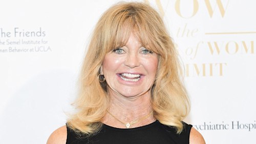 Goldie Hawn melts hearts with stunning baby photo