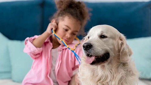 5 friendliest dog breeds perfect for families with young children