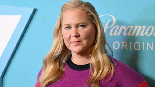 Amy Schumer opens up about 'brutal' separation from husband Chris Fischer and son Gene - details