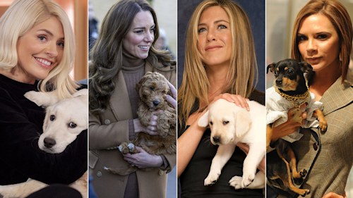 10 celebs and their lookalike pets: Princess Kate, David Beckham, Holly Willoughby & more