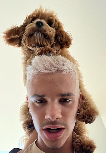 Romeo Beckham ve köpeği Simba
