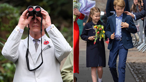 Prince George, Prince Louis and Princess Charlotte's unusual school activity revealed
