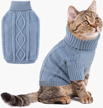 brown tabby cat wearing turtleneck knitted jumper in blue 