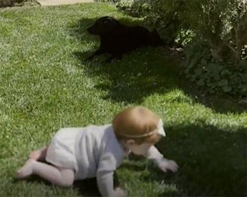 Lilibet crawls on grass