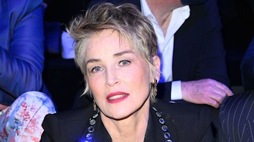 Sharon Stone shares shocking details from custody battle involving son Roan