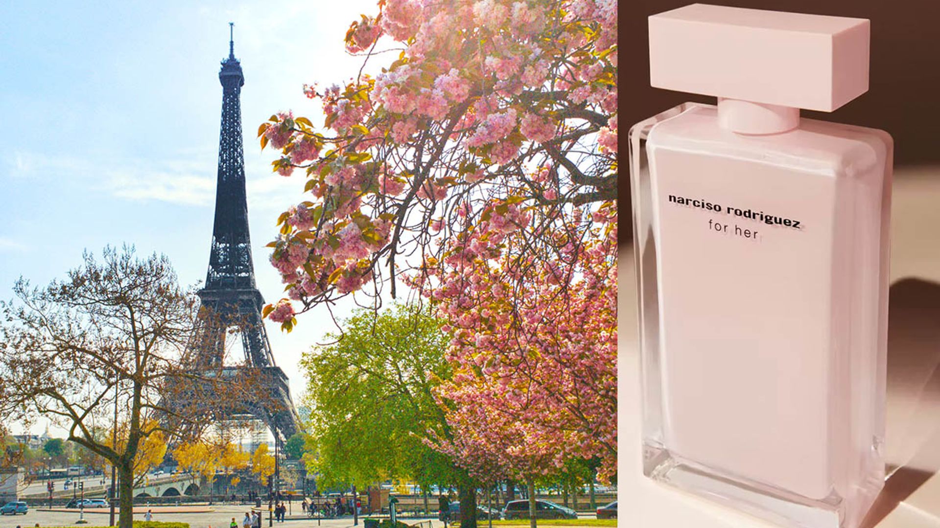 TikTok video goes viral revealing the rose perfume Parisian women love