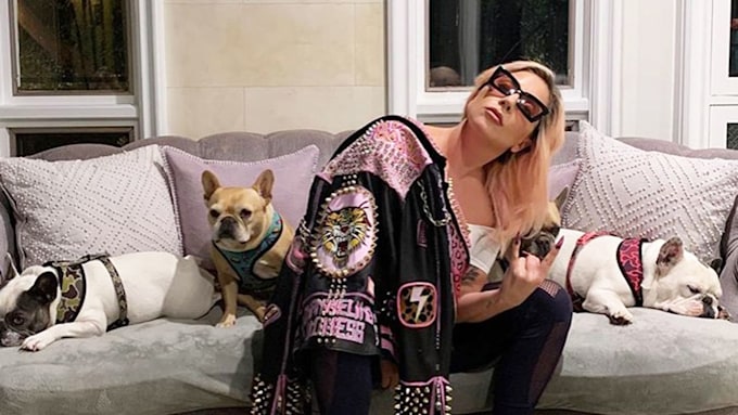 lady-gaga-home