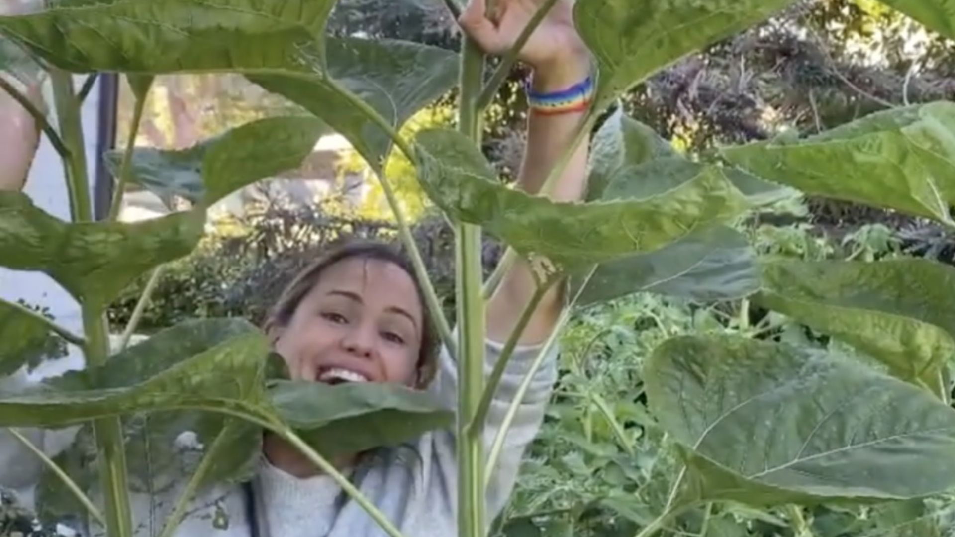 Jennifer Garner's tour of botanical gardens at LA home ends in disaster