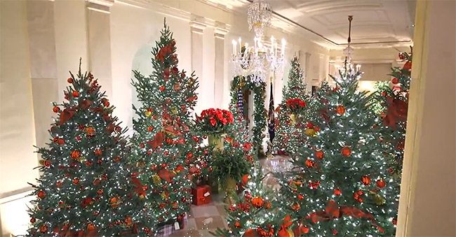 Trump Tower Christmas Decorations 2022 Melania Trump Unveils Last Christmas Decorations In White House - Fans  React | Hello!